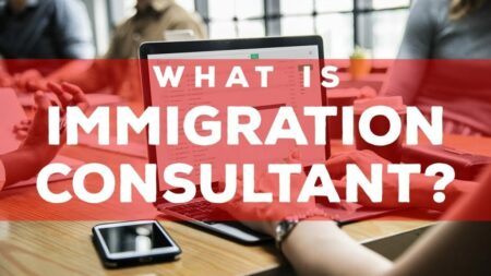 who is an immigration consultant