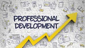 Invest in Professional development